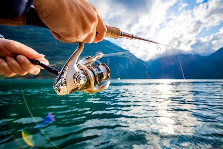 trouver la canne à pêche idéale